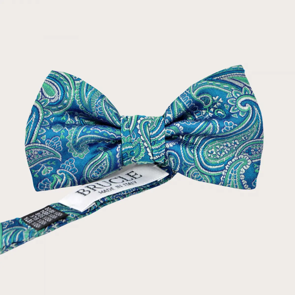 Elegante grün und blaue Paisley-Fliege für herren