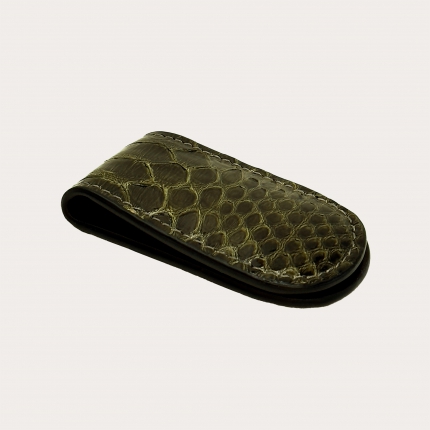 Magnetic money clip in hand-shaded green and beige python