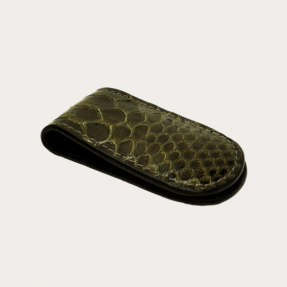 Magnetic money clip in hand-shaded green and beige python